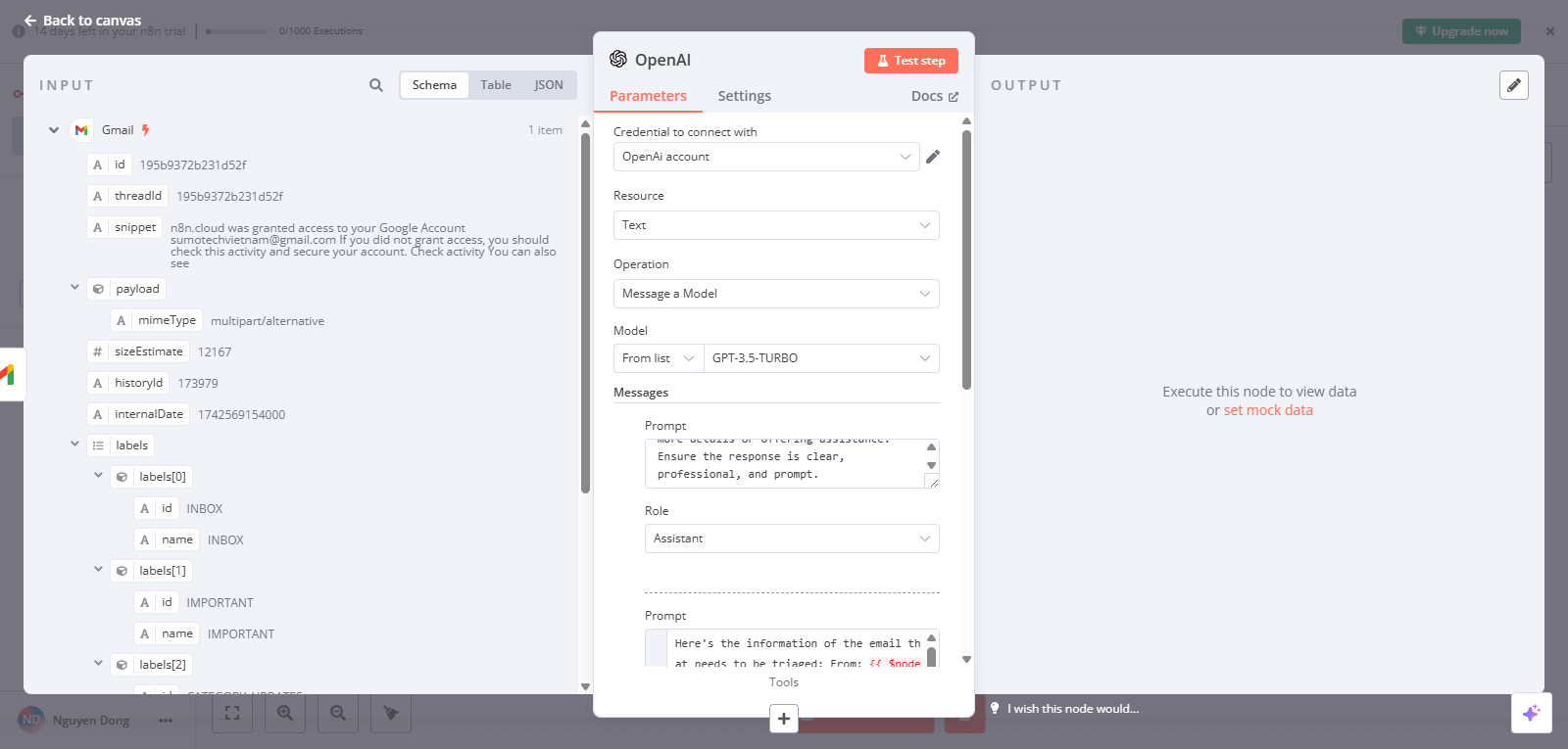 openai_config