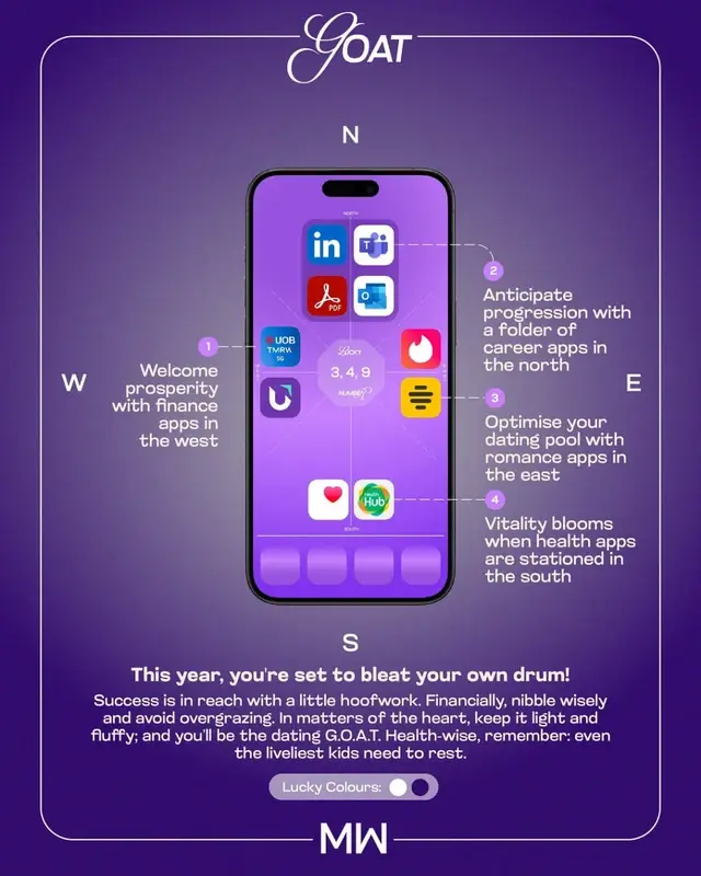 Phone Shui Screen